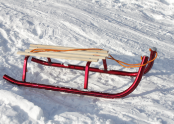 Zdjęcie ilustracyjne: Źródło Canva