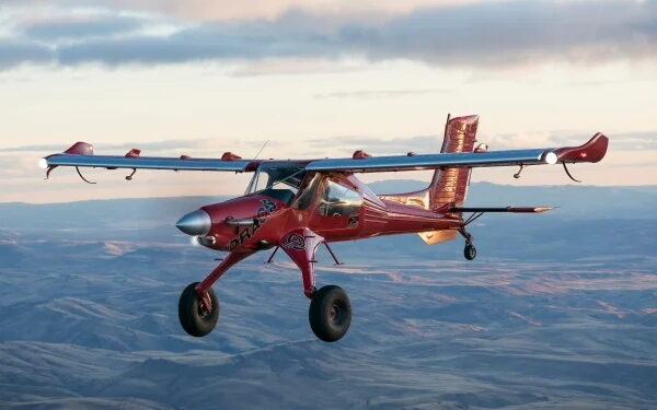 Polski smok może stanowić narzędzie do zwalczania dronów