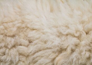 Mata ogrodnicza z… owczej wełny