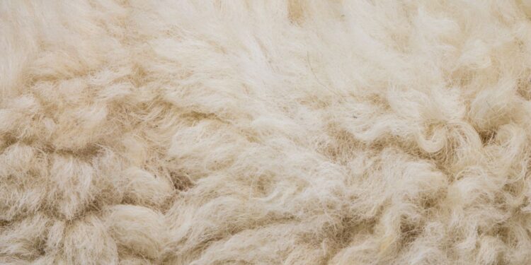 Mata ogrodnicza z… owczej wełny