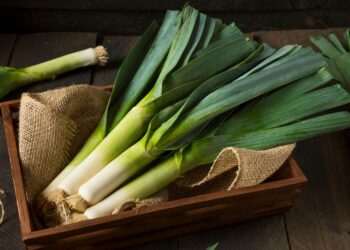 Por cenny na talerzu - Radio Kielce Por cenny na talerzu