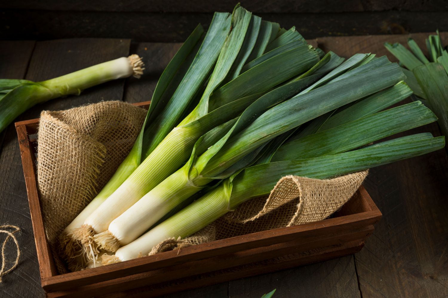 Por cenny na talerzu