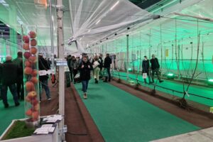 Targi Sadownictwa i Warzywnictwa / źródło: Targi Kielce