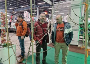 Sad w nowoczesnym stylu na targach TSW w Kielcach