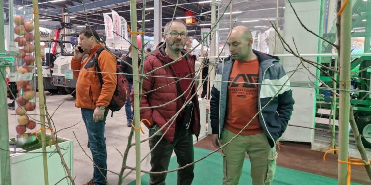 Sad w nowoczesnym stylu na targach TSW w Kielcach