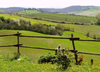 Komfort, automatyzacja i obsługa wielojęzyczna przyciągają turystów - Radio Kielce źródło: canva.com