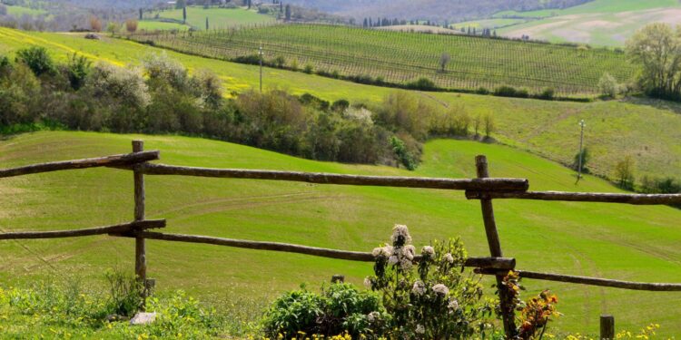 źródło: canva.com