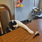 Fot. Aleksandra Słowak - Radio Kielce