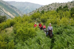 Muzyczne podróże przez świat. Konno po przygody. Albania. Zagoria / Fot. Sławomir Buga