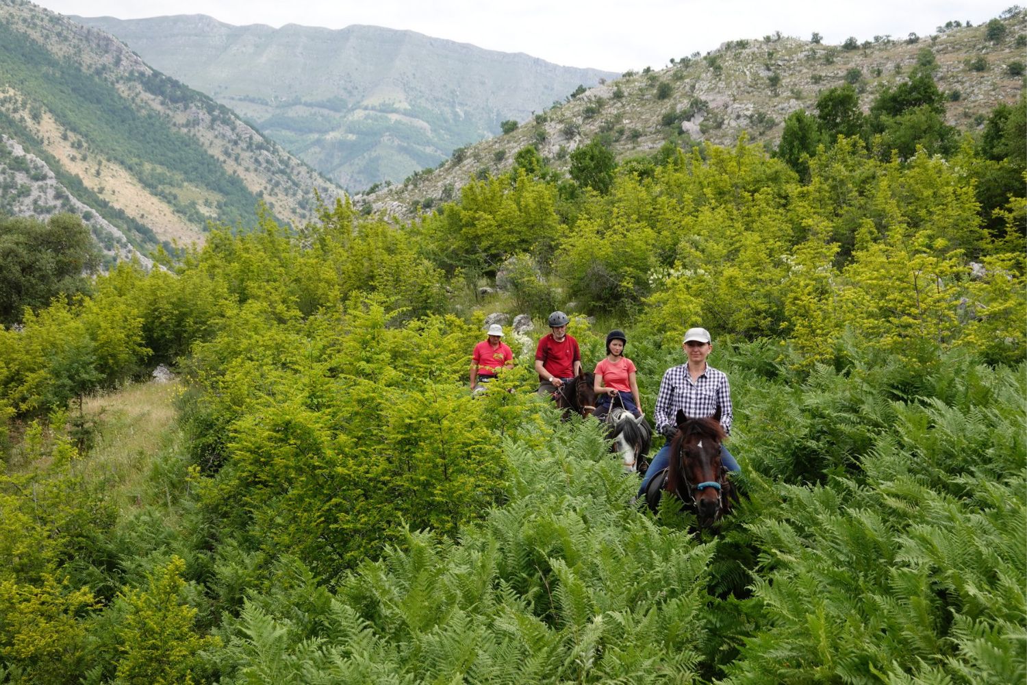 Muzyczne podróże przez świat. Konno po przygody