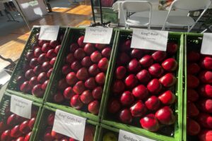 04.03.2026. Sandomierz. Sandomierskie Spotkania Sadownicze / Fot. Grażyna Szlęzak-Wójcik - Radio Kielce