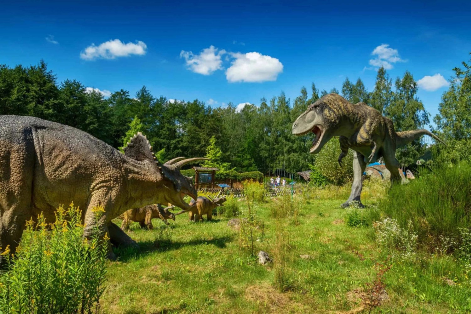 Znamy najchętniej odwiedzane atrakcje regionu w 2025 roku