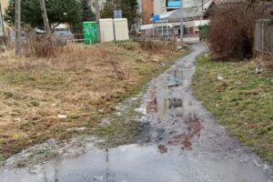 Kielce. Malików / Fot. Michał Sulej