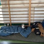 09.02.2026. Końskie. Szkoła Podstawowa nr 1. Pogorzelcy / Fot. Magdalena Galas-Klusek - Radio Kielce