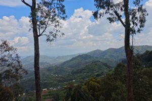 Muzyczne podróże przez świat. Rwanda / Fot. D.J.'Drayer' Drajewicz