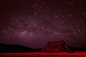 Muzyczne podróże przez świat. Konno po przygody. Sokotra / Fot. Sławomir Buga