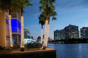 Miami / Fot. Renata Stojecka-Zuber i Dariusz Kałwa