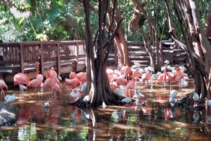 Miami / Fot. Renata Stojecka-Zuber i Dariusz Kałwa