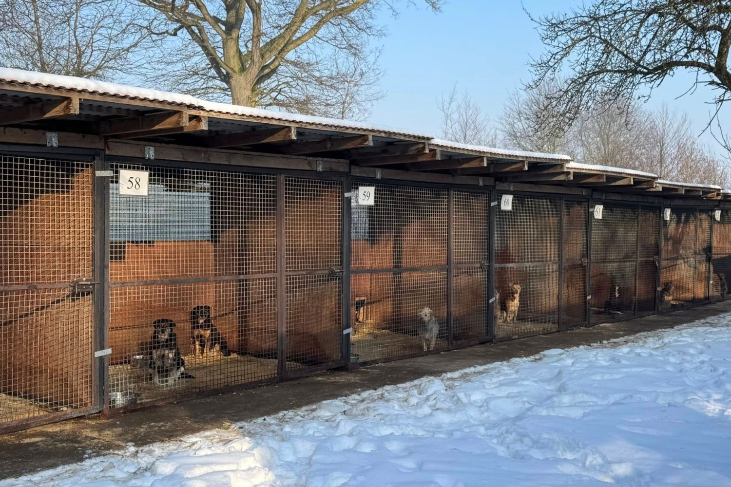 Schronisko w Rudniku potrzebuje wsparcia