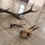 Fot. Aleksandra Słowak - Radio Kielce