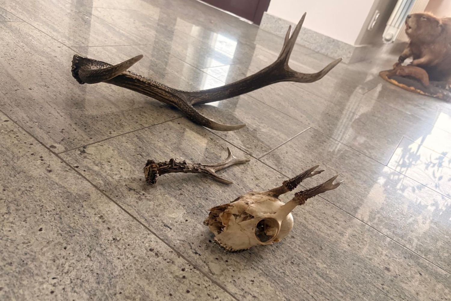 Fot. Aleksandra Słowak - Radio Kielce