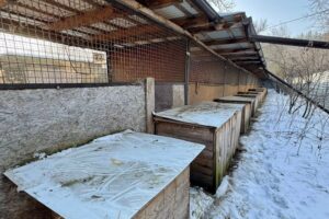 Schronisko w Rudniku potrzebuje wsparcia - Radio Kielce Schronisko dla bezdomnych zwierząt w Rudniku / Fot. Marek Materek - Facebook