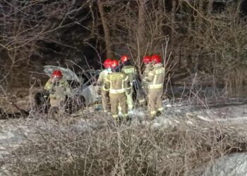 Mężczyzna prawdopodobnie zasnął za kierownicą. Dwie osoby w szpitalu