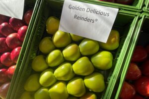 04.03.2026. Sandomierz. Sandomierskie Spotkania Sadownicze / Fot. Grażyna Szlęzak-Wójcik - Radio Kielce