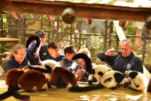 Miami / Fot. Renata Stojecka-Zuber i Dariusz Kałwa