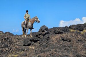 Muzyczne podróże przez świat. Konno po przygody. Azory. Wyspa Faial / Fot. Sławomir Buga