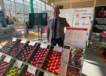 Wszystko o jabłkach i nie tylko - Radio Kielce 04.03.2026. Sandomierz. Sandomierskie Spotkania Sadownicze / Fot. Grażyna Szlęzak-Wójcik - Radio Kielce