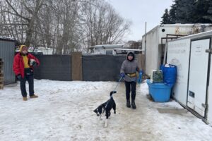 Sandomierz. Schronisko dla psów w Sandomierzu / Fot. Grażyna Szlęzak-Wójcik - Radio Kielce