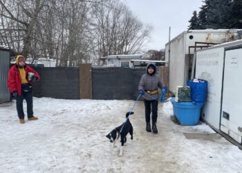 Sandomierz. Schronisko dla psów w Sandomierzu / Fot. Grażyna Szlęzak-Wójcik - Radio Kielce