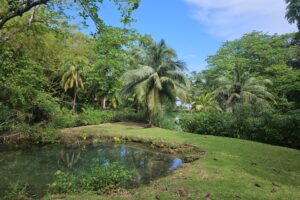 Jamajka / Fot. Renata Stojecka-Zuber i Dariusz Kałwa