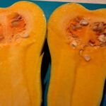 Dynia piżmowa / Fot. Edward Galus