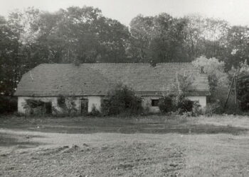 Jego dziadek kupił majątek, a on zagrał w ponad 100 filmach