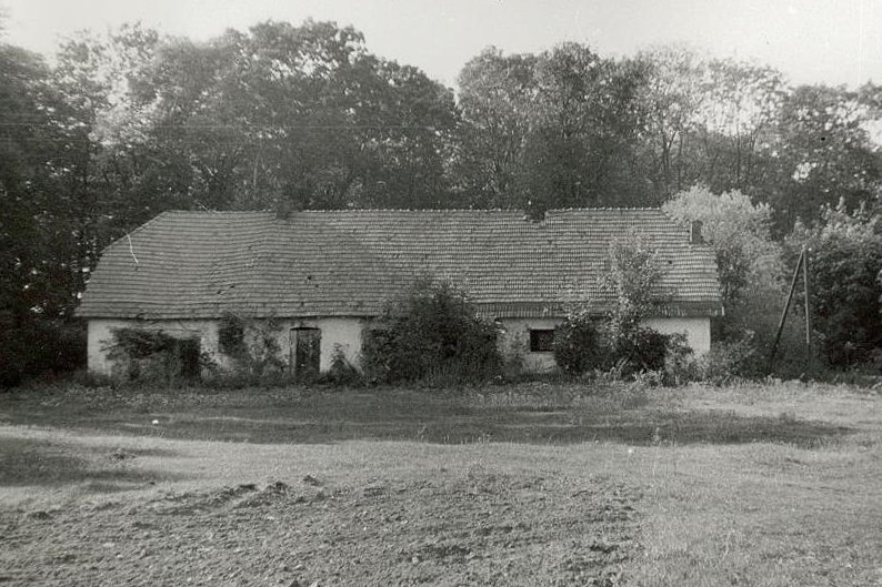 Jego dziadek kupił majątek, a on zagrał w ponad 100 filmach - Radio Kielce