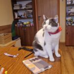 Fot. Aleksandra Słowak - Radio Kielce