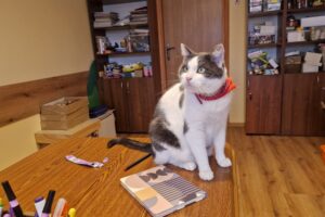 Fot. Aleksandra Słowak - Radio Kielce