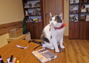 Fot. Aleksandra Słowak - Radio Kielce