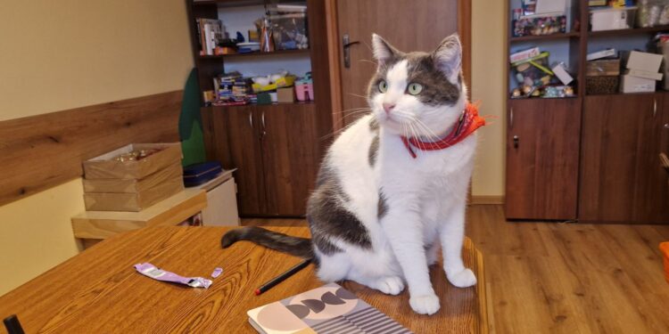 Fot. Aleksandra Słowak - Radio Kielce