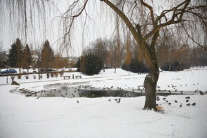 04.02.2026. Kielce. Park miejski / Fot. Wiktor Taszłow - Radio Kielce