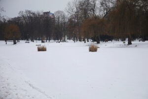 04.02.2026. Kielce. Park miejski / Fot. Wiktor Taszłow - Radio Kielce
