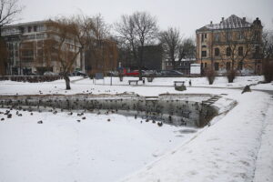 04.02.2026. Kielce. Park miejski / Fot. Wiktor Taszłow - Radio Kielce