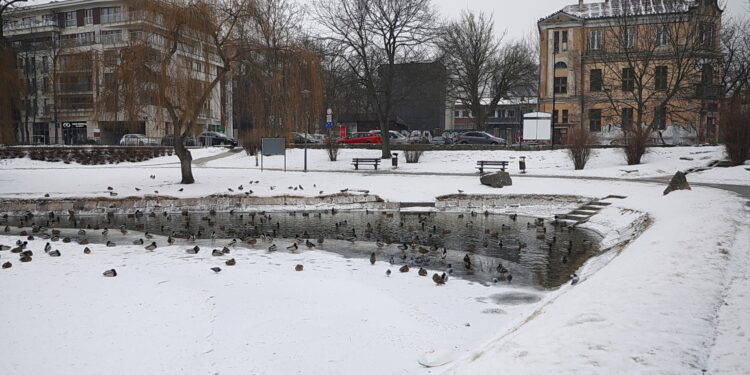 04.02.2026. Kielce. Park miejski / Fot. Wiktor Taszłow - Radio Kielce