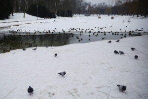 04.02.2026. Kielce. Park miejski / Fot. Wiktor Taszłow - Radio Kielce