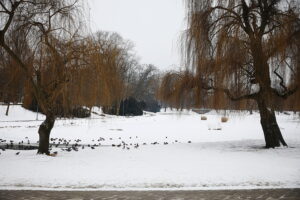 04.02.2026. Kielce. Park miejski / Fot. Wiktor Taszłow - Radio Kielce