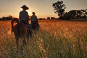 Muzyczne podróże przez świat. Konno po przygody. Botswana / Fot. Sławomir Buga