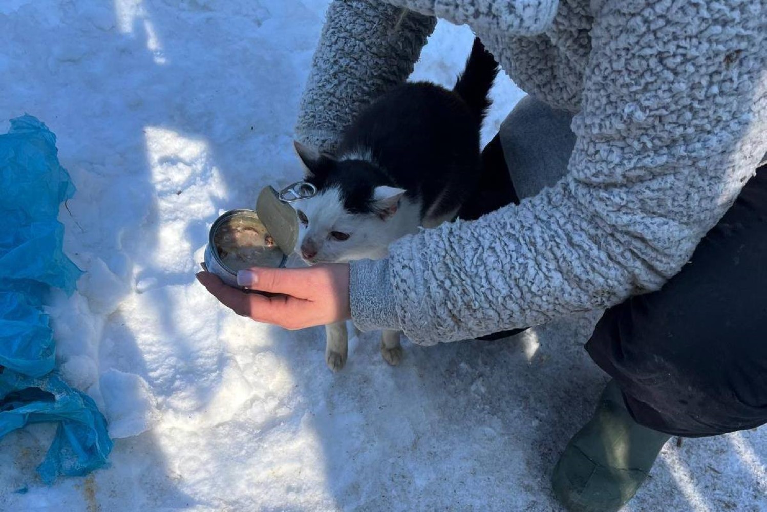 Właścicielowi grozi zarzut znęcania się nad zwierzętami