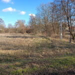 Nowa przystań nad Mierzawą w Michałowie - Radio Kielce